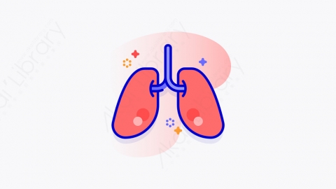 图片素材-025_肺_lungs