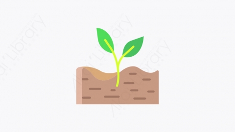 图片素材-010_植物_plant