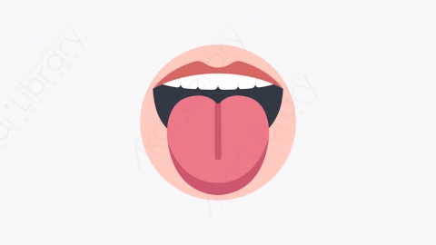 图片素材-003_舌头_tongue