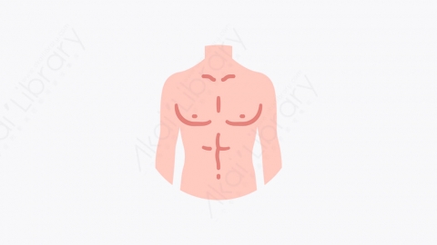 图片素材-006_人体_human_body