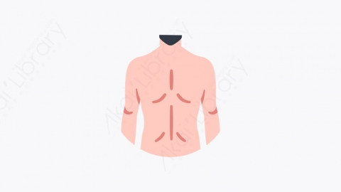 图片素材-009_后背_back