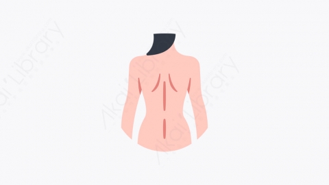 图片素材-010_后背_back