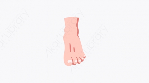 图片素材-021_脚_foot