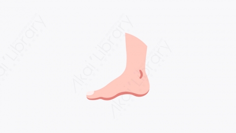 图片素材-023_脚_foot