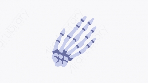 图片素材-029_手骨头_hand_bones