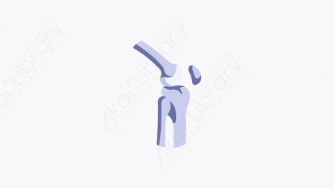 图片素材-032_膝_knee