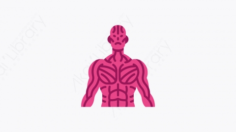 图片素材-050_肌肉_muscle