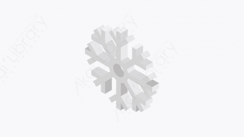 图片素材-009_雪花_snowflake