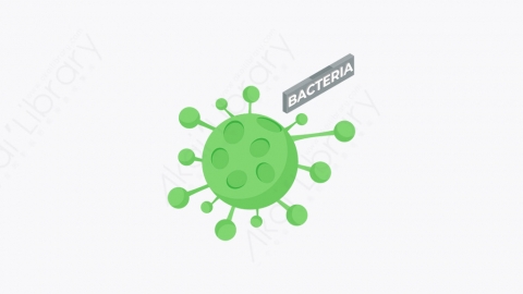 图片素材-013_细菌_bacteria