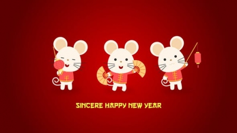AE模板-中国农历新年贺岁视频模板