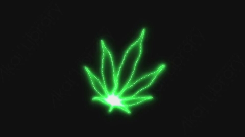视频素材-卡通发光霓虹灯Pot_Leaf树叶元素