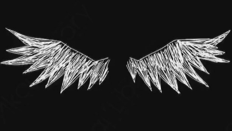AE模板-卡通手绘翅膀动画元素Wings_07